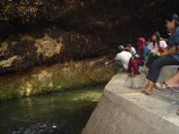 GOA NGERONG