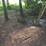 LOKASI TAMBANG EMAS