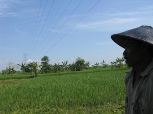 PETANI DI SAWAH