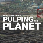 greenpeace-report-how-sinarmas-pulping-the-planet-maiwanews.com