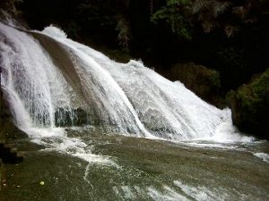 bantimurung-ed