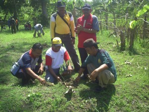 AKSI TANAM TREMBESI