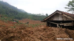 longsor-banjarnegara-BNPB-maiwanews