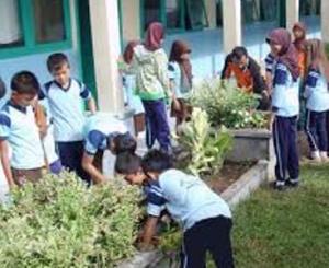 MADRASAH