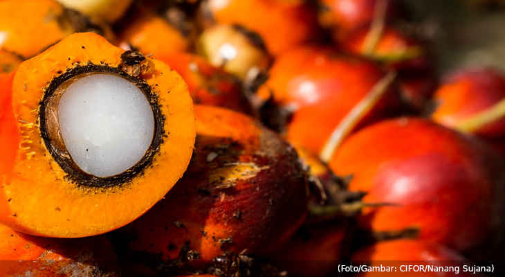 20220425-buah-kelapa-sawit-21jan2017