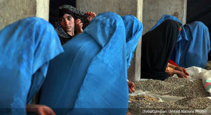 20220528-perempuan-afghanistan-bekerja-menyortir-pistachio-7juni2012