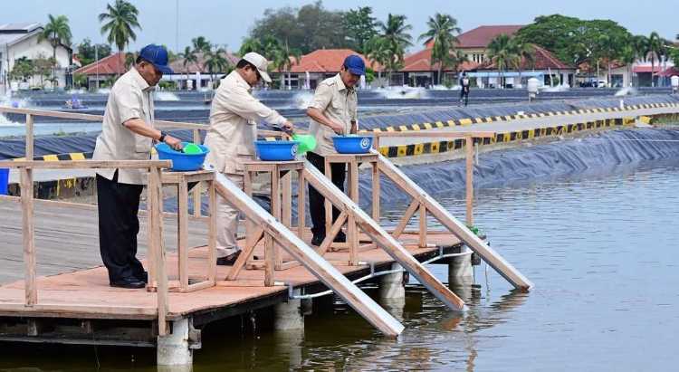 20241202-prabowo-subianto-bluppb-karawang-prod2des2024